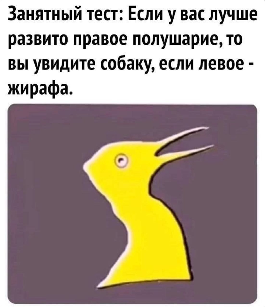 Занятный тест Если у вас лучше развито правое полушарие то вы увидите собаку если левое жирафа