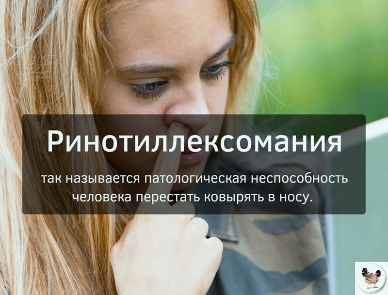 Ринотиллексомания так называется пашлогическач неспособность человека перестать ковырять в носу