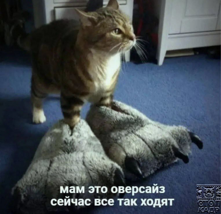 мапі это оверсайз сейчас все пк ходят