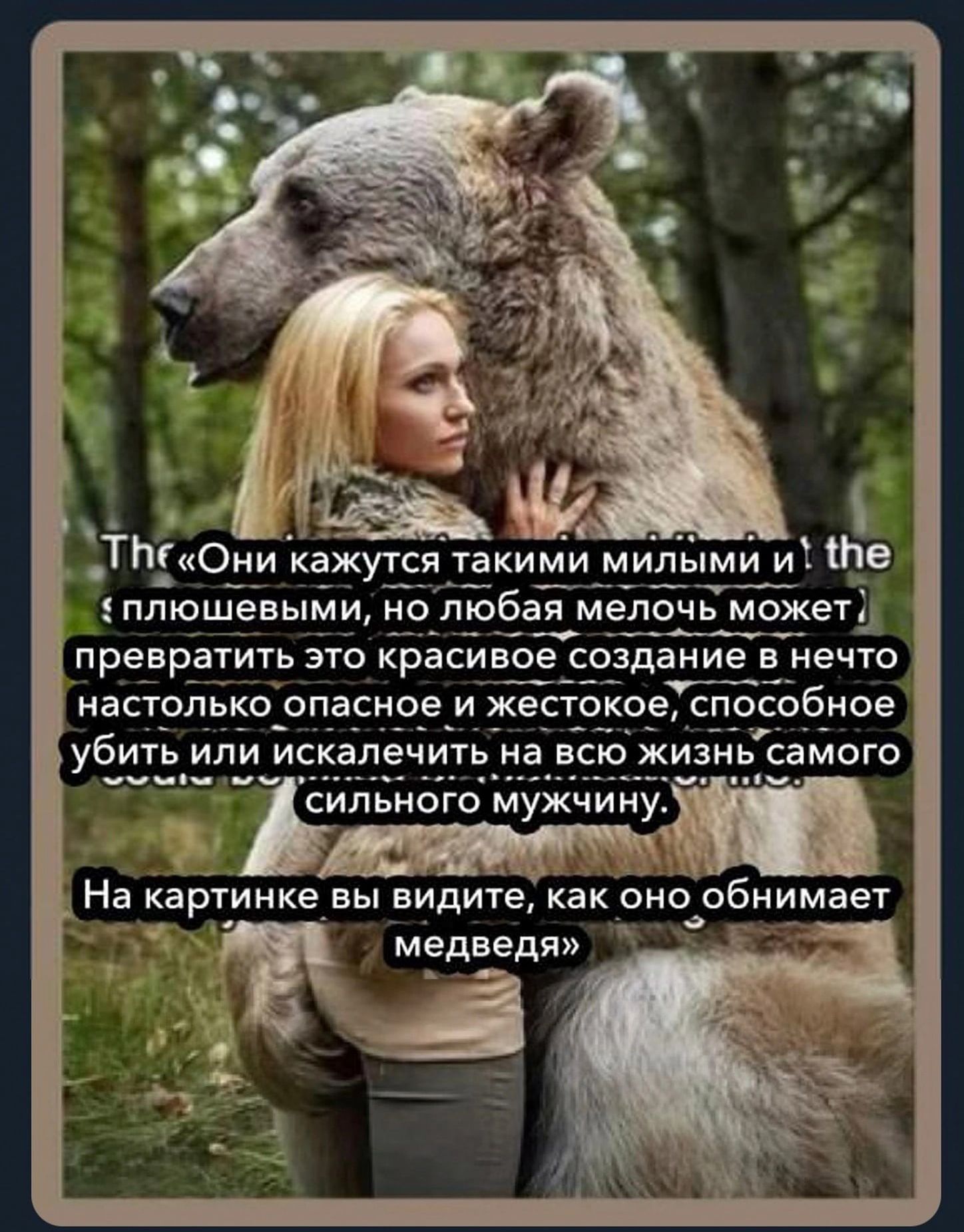 ТШОни кажутср такими милыми иТ ше плюшевыми олюбая мелочь можетд превратить это красивіе создание а_нечю настоль о_ опасное и _кесток е спос бное убить или искалечить на вс жизиь са ого сильного мужчину На картинке_ вы видите обнимает