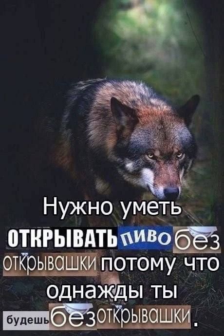 Нужно уметь отнгывдтьПШ шрьгг потому что однажды ТЫ