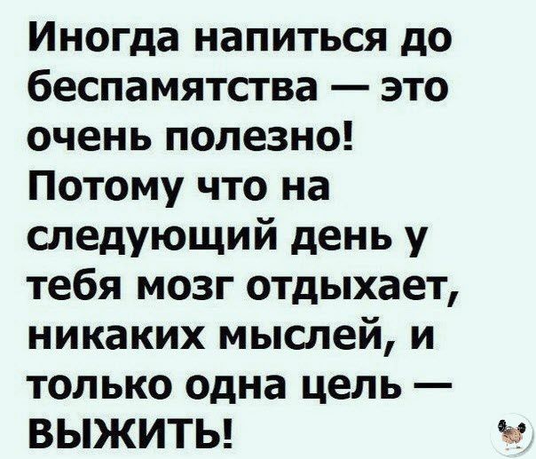 Иногда напиться до беспамятства это очень полезно Потому что на следующий день у тебя мозг отдыхает никаких мыслей и только одна цель ВЫЖИТЬ