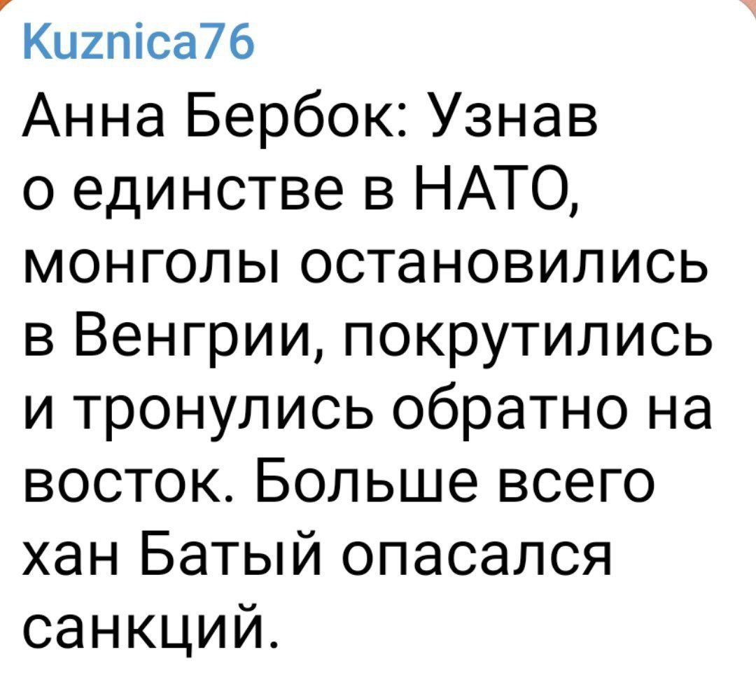 Киипіса76 Анна Бербок Узнав о единстве в НАТО монголы остановились в Венгрии покрутились и тронулись обратно на восток Больше всего хан Батый опасался санкций