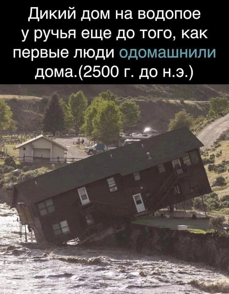 Дикий дом на водопое у ручья еще до того как первые люди одомашнили дома 2500 г до н э