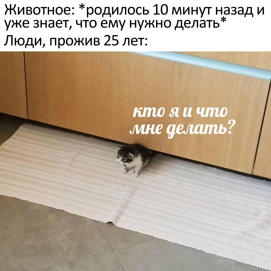 Животное родилось 10 минут назад и уже знает ЧТО ему НУЖНО делать Люди прожив 25 лет