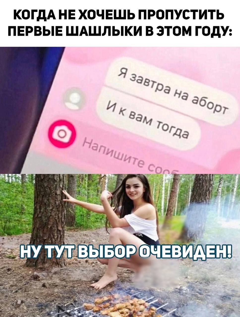 КОГДА НЕ ХОЧЕШЬ ПРОПУСТИТЬ ПЕРВЫЕ ШАШЛЫКИ В ЭТОМ ГОДУ