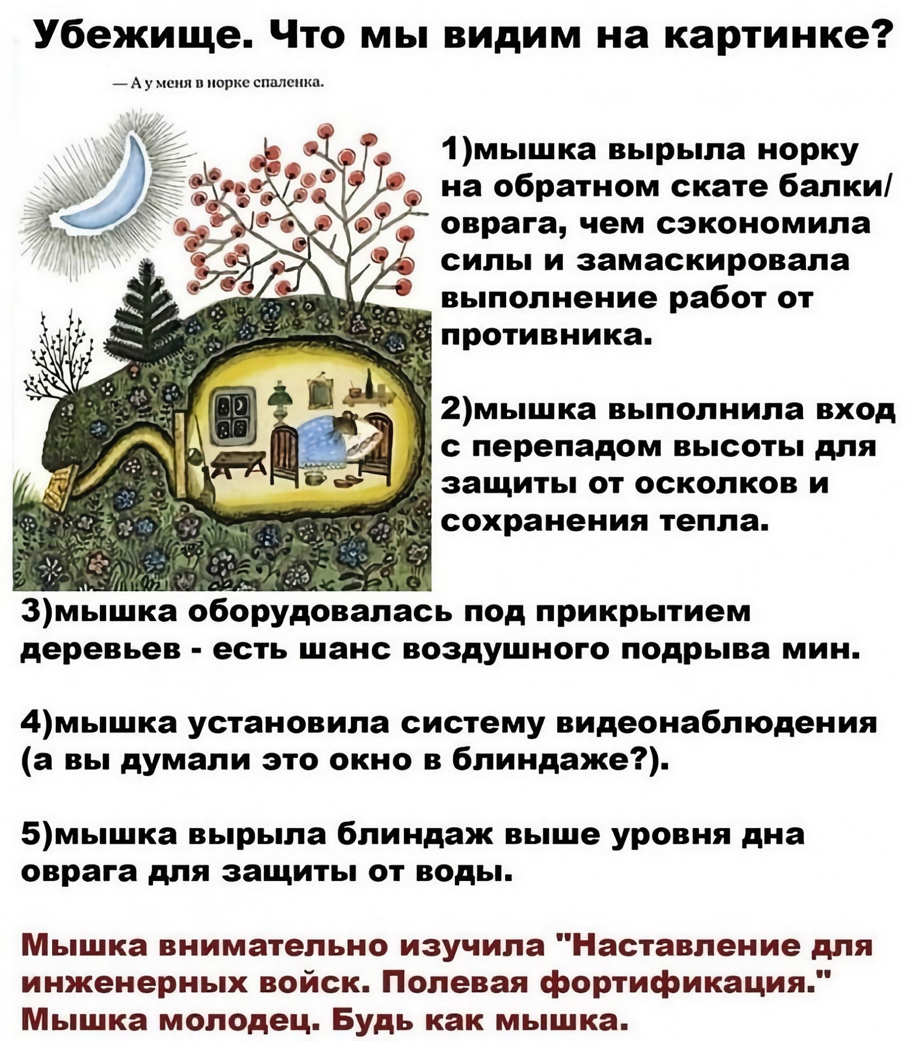 Убежище Что мы видим на картинке мыши р порку и обрапюм ские Балки иран нем сэкономила силы и замаскирпвапа ныпопиеиие работ от противника 2мышка ылолнила под перепадом писать для пищи и оскопив и сохраиеиия тепла 3мишка пборудо апась под прикрыием даре и _ есть шанс пвадушиого подр амиши установила систему видеоиябпюцеиия л думали окис алиндяжп 5мышка нырыла блиндаж выше уро ия на при для зап ши 