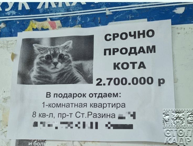 сРОЧНО продАМ КОТА 2700000 В подарок отдаем 1 комнатная квартира квп пргт Ст Разина _ 1 _НЕ Н