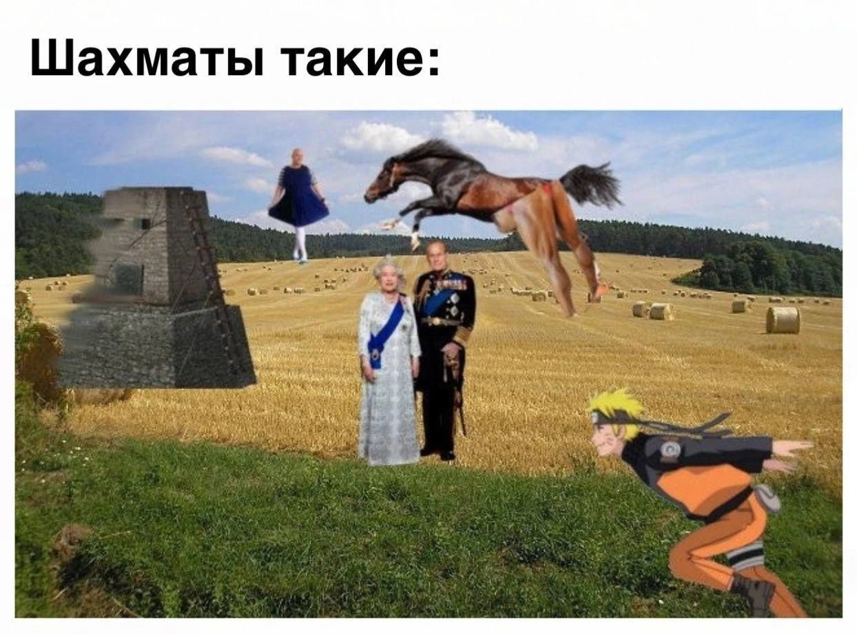 Шахматы такие