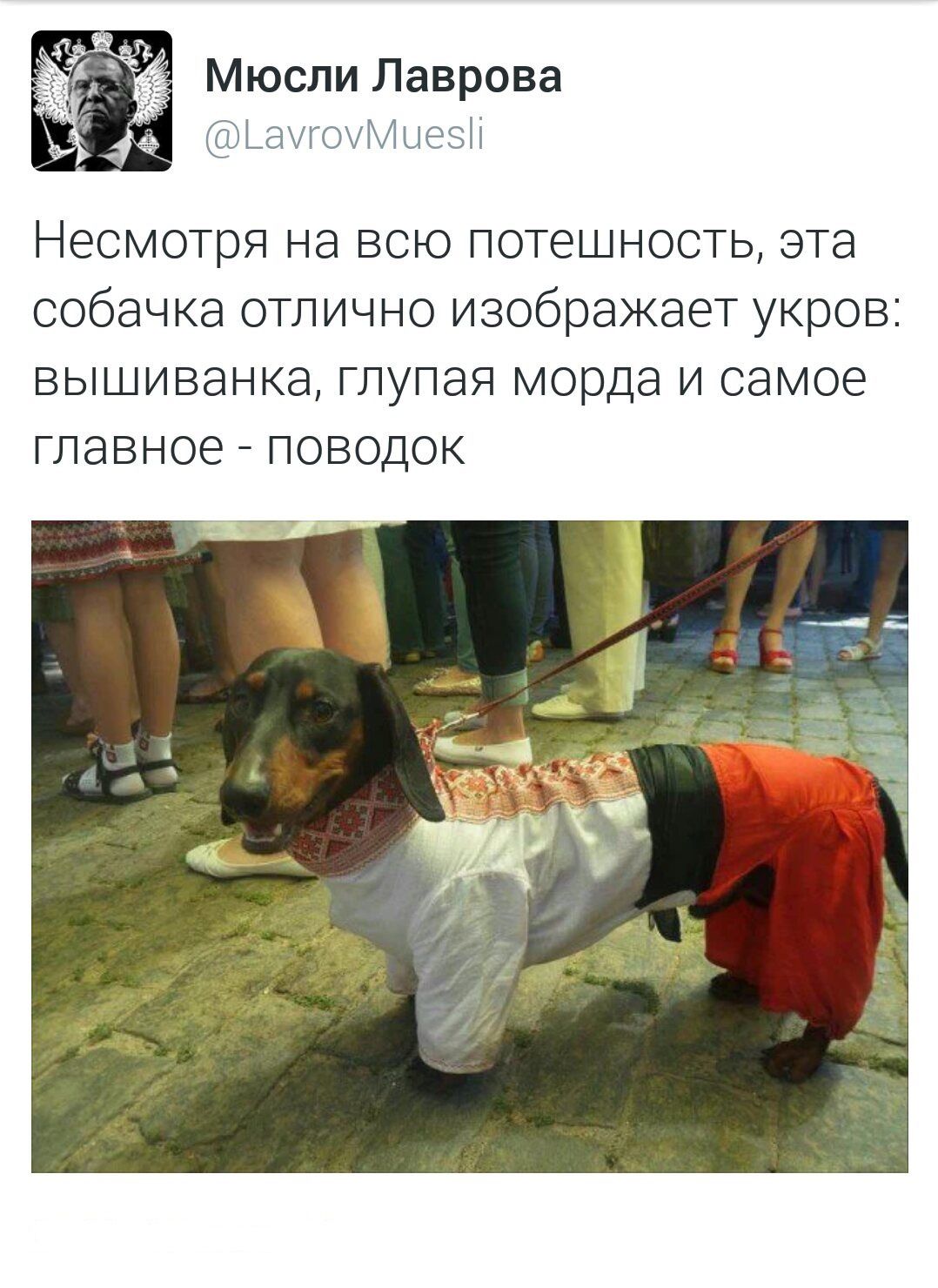 Несмотря на всю потешность эта собачка отлично изображает укров ВЫШИВЭНКЗ ГЛУПЭЯ морда И самое ГЛЭЕНОЕ ПОВОДОК
