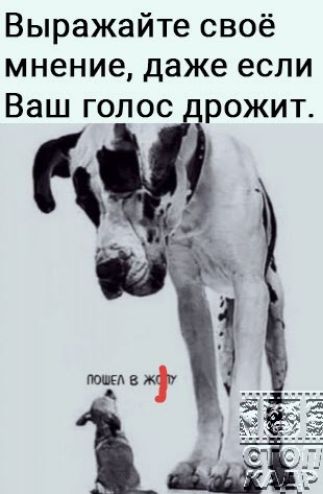 Выражайте своё мнение даже если Ваш голос рожит