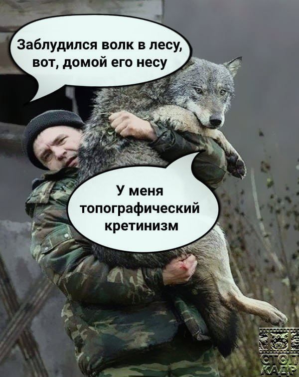Заблудипсп волк в лесу вот домой его несу топографический кретинизм