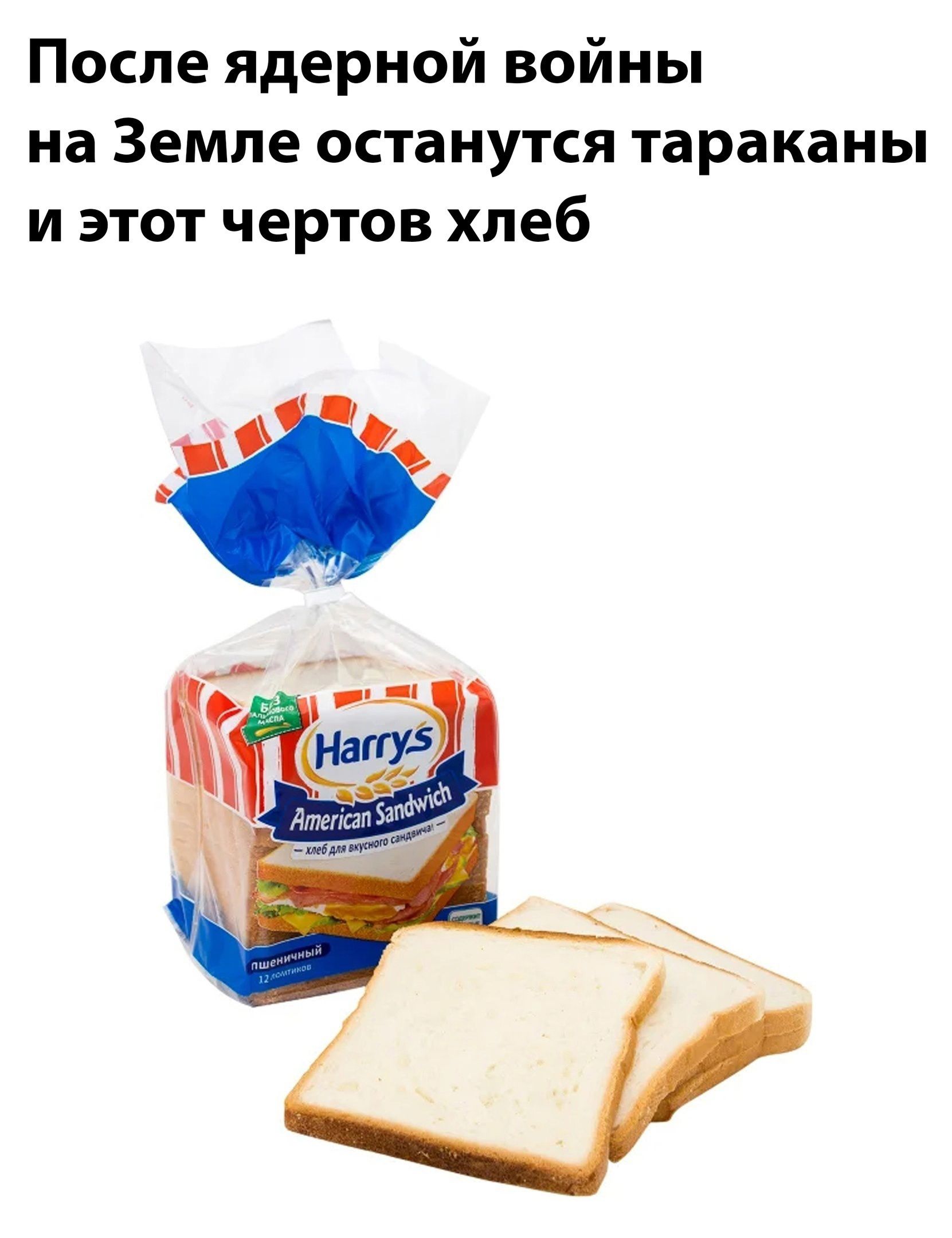 После ядерной войны на Земле останутся тараканы и этот чертов хлеб