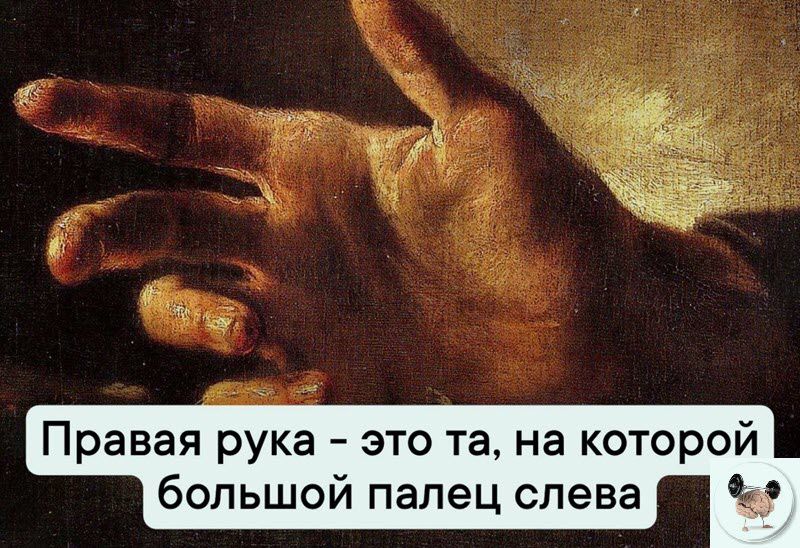 Правая рука это та на которой большой палец слева в