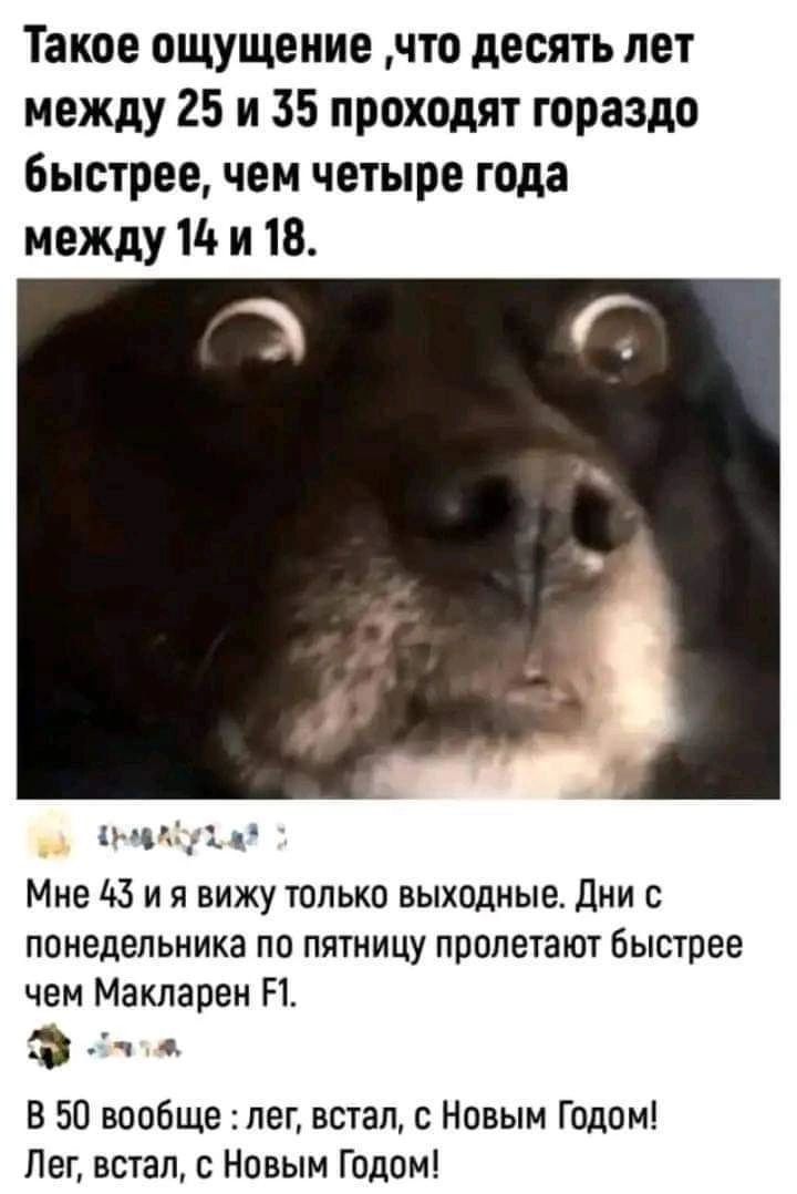 Такое ощущение что десять лет между 25 и 35 проходят гораздо быстреечем четыре года между 114 и 18 кд Мне 43 и я вижу только выходные дни с понедельника по пятницу пролетают быстрее чем Макларен П и В 50 вообще лег встал с Новым Годом Пег встал с Новым Годом