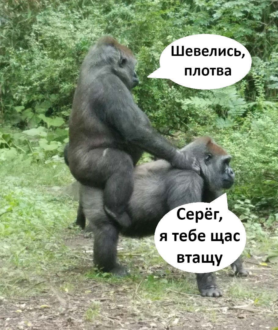 а В Т 0 Л П