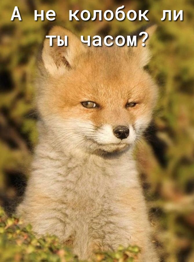 А не колобок ли