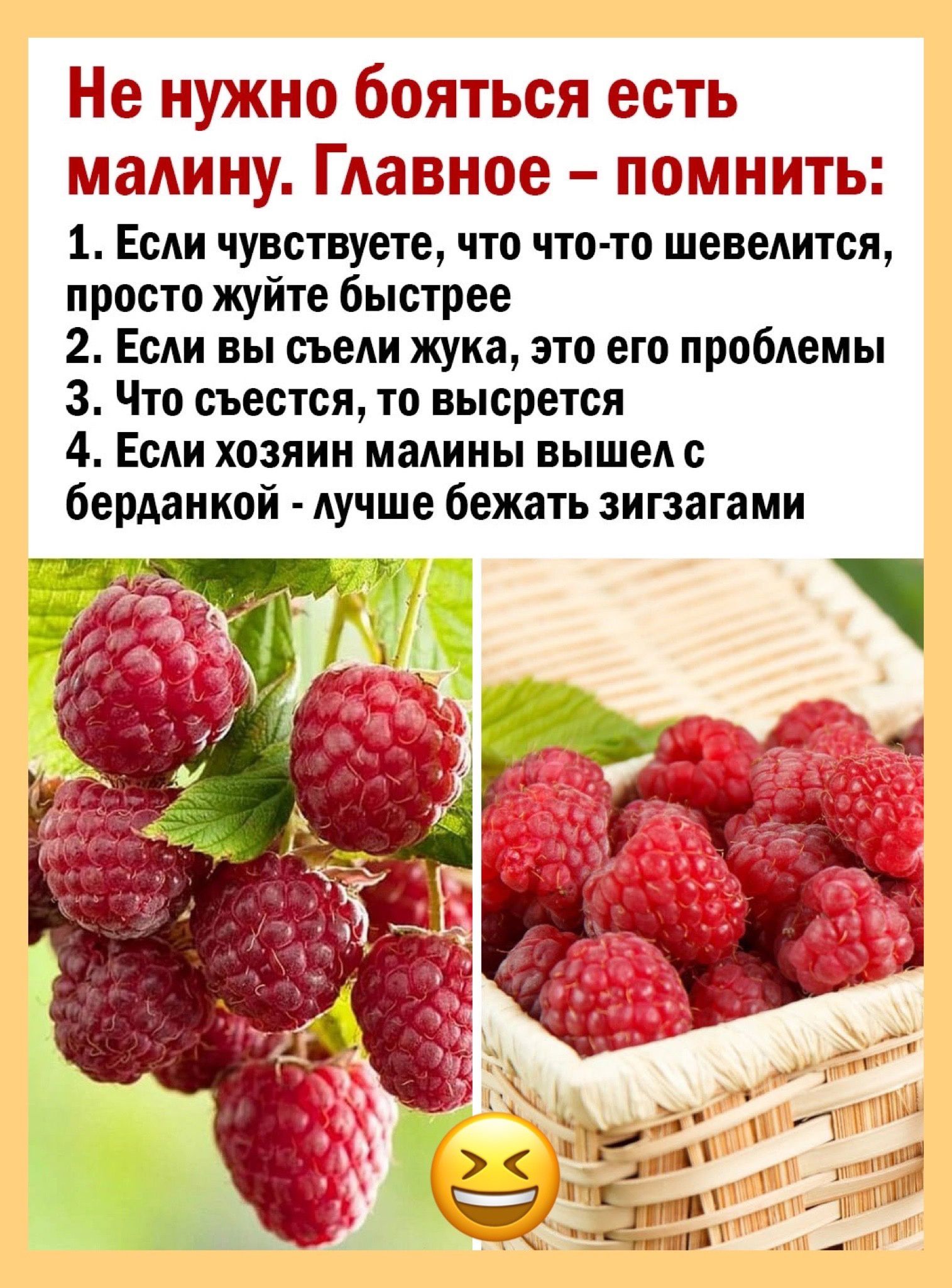 Не нужно бояться есть МійМНУ Главное ПОМНИТЫ 1 Если чувствуете что что то шевелится просто жуйте быстрее 2 Если вы съели жука это его проблемы 3 Что съестся то высрется 4 Если хозяин малины вышел