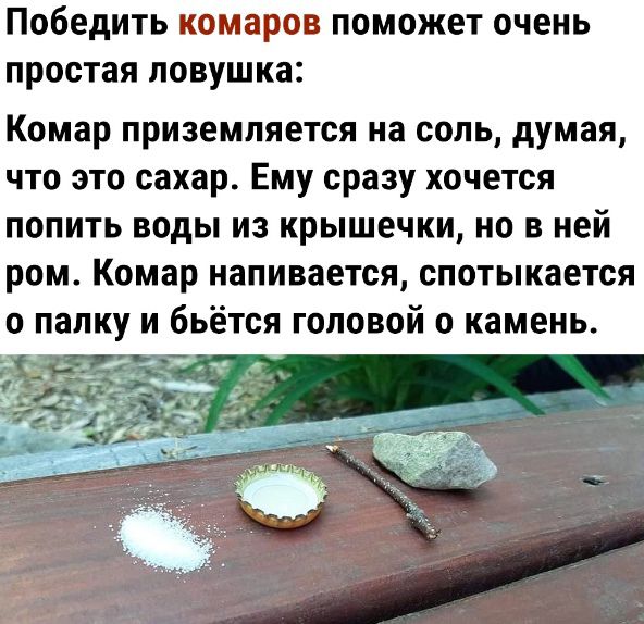 Победить комаров ПОМОЖЕТ ОЧЕНЬ простая ловушка Комар приземляется на соль думая что это сахар Ему сразу хочется попить воды из крышечки но в ней ром Комар напивается спотыкается о папку и бьётся головой о камень