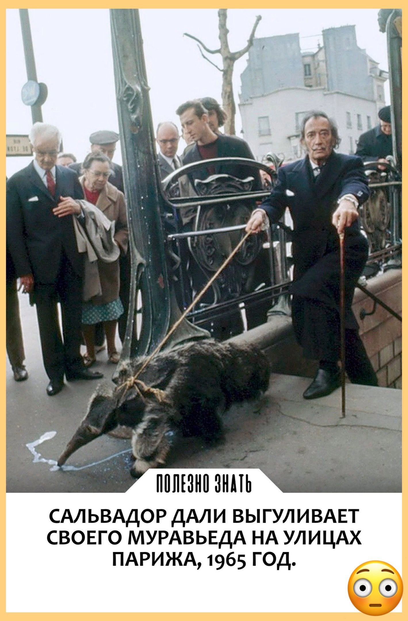 САЛЬВАДОР ДАЛИ ВЫГУЛИВАЕТ свовго МУРАВЬЕДА НА УЛИЦАХ ПАРИЖА 1965 год