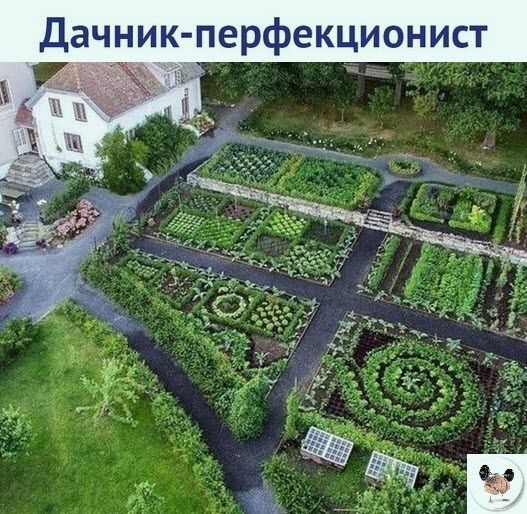 Дачник перфекционист