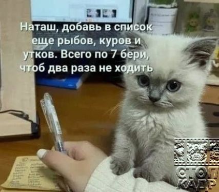 РЫЁ угков Всего п