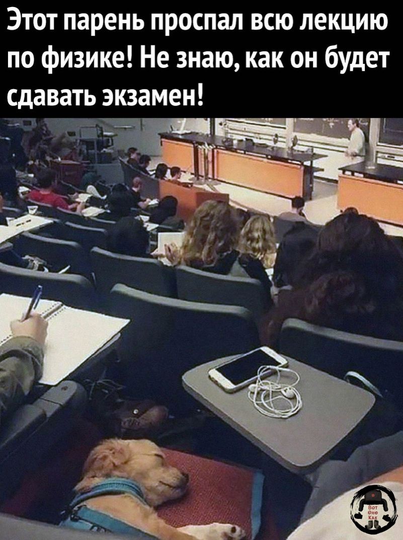 Этот парень проспал всю лекцию по физике Не знаю как он будет