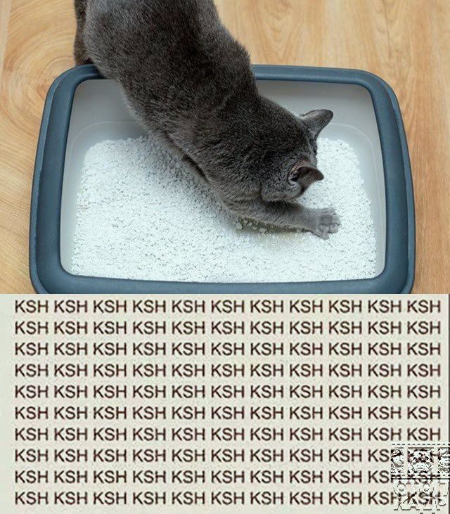 КЗН КЗН КЗН КЗН КЗН КЗН КЗН КЗН КЗН КЗН КЗН КЭН КЗН КЗН КЗН КЗН КЗН КЗН К5Н КЗН КЗН КЗН КЗН КЗН КЗН КЗН К5Н КЗН КЭН КЗН КЗН КЗН КЗН КЗН КЗН КЗН КЗН КЗН КЗН КЗН КЗН КЗН КЗН КЗН КЗН К5Н КЗН КЗН КЗН КЗН КЗН КЗН КЗН КЗН КЗН КБН КЗН КН КН КЗН КН КЗН КЗН КН КЗН КЗН КЗН КЗН КЗН КЗН КЗН КЗН КЗН КЗН КЗН КЗНКБН _ КН КЗН КЗН КЗН КЗН КЗН КЗН КЭН КЗН КЁЁАЁ 5 КЗН КЗН КЭН КЗН КЗН К5Н К5Н КЗН КЗН КЗ КЗН КЭН КЗН К