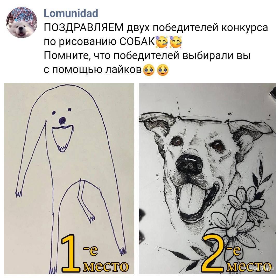 Ъптппібай ПОЗДРАВЛЯЕМ двух победителей конкурса по рисованию СОБАКББ Помните что победителей выбирали вы с помощью лейкозов