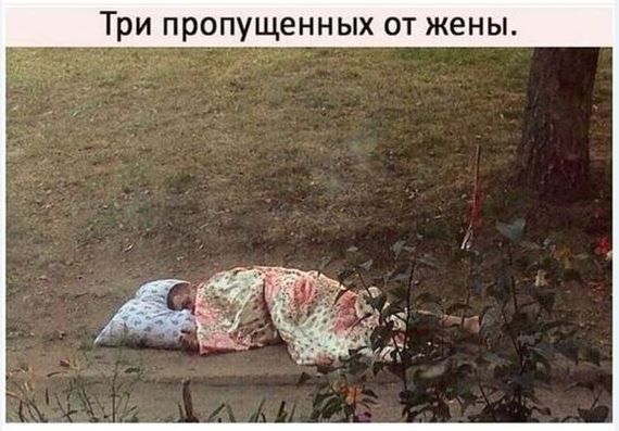 Три пропущенных от жены