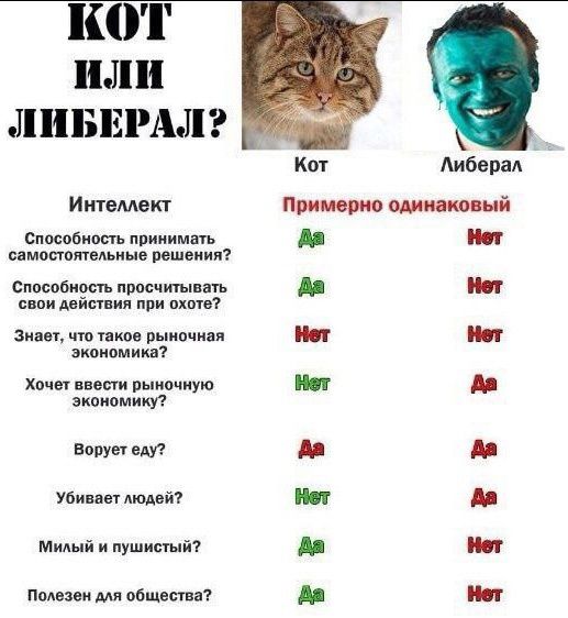 Ш 114111 липы д11 Кгп Аибвпм Итмвкг Ё Бимоби и приипмвп ииипппгвмиив вып иии спасшим п причины и свои миопии ппи в Ципи шп г омипчип амиши Хоча ст рыночную омкт винт вт уси людей г м пушистй гг іііі і і і швеи мя оощшн