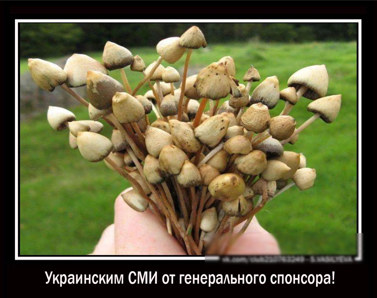 Украинским СМИ от генерального спонсора