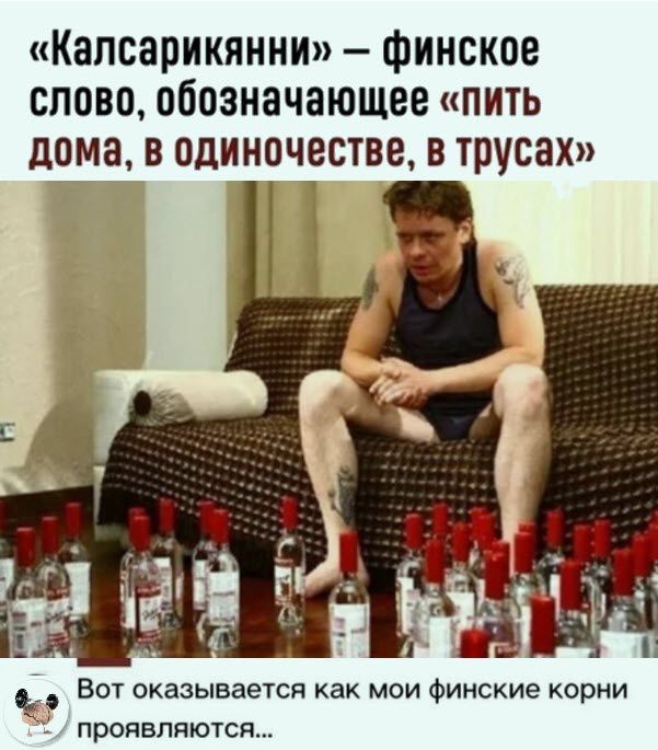 Капсарикяини финское слово обозначающее пить дома в одиночестве в трусах Бот оказывается как мои финские корни 1 проявляются