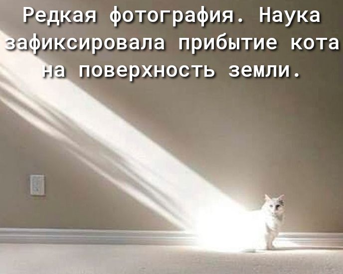 Редкая фотография Наука иксировала прибытие кота поверхность земли