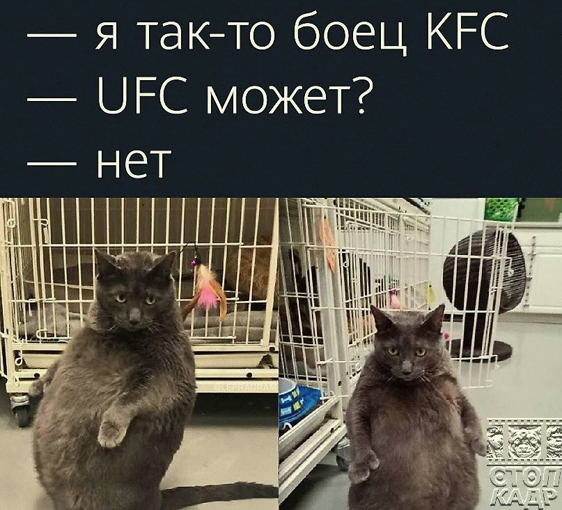 я так то боец КРС ШРС может нет щшш 3 1 3