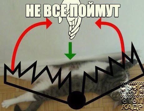 Та Ш Лі