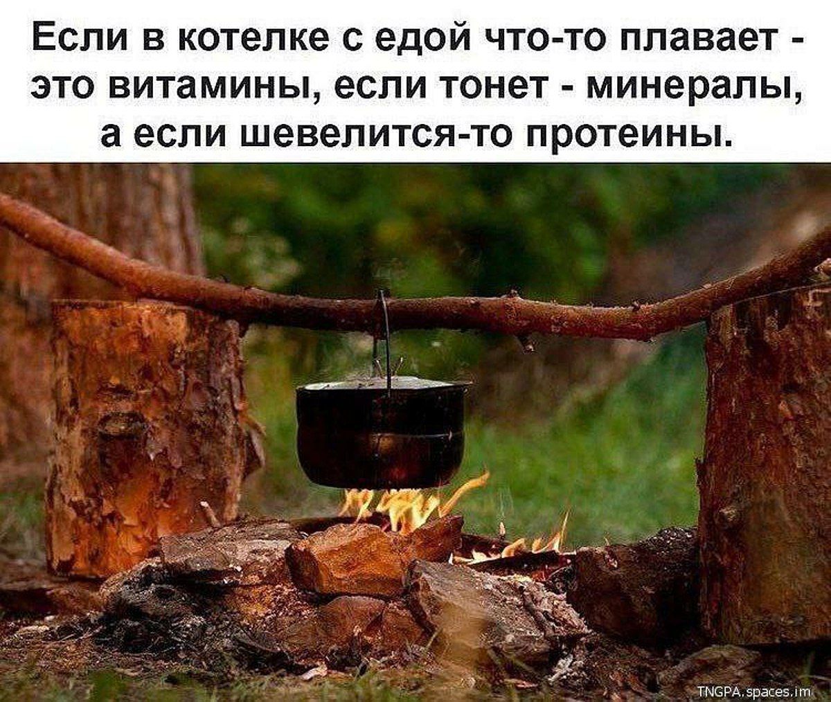 ЕСЛИ В котелке с едой ЧТО ТО ППЗБЗЕТ ВТО ВИТЗМИНЫ если тонет минералы а если шевелится то протеины _