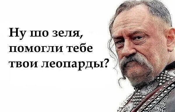 Ну шо зеля помогли тебе твои леопарды