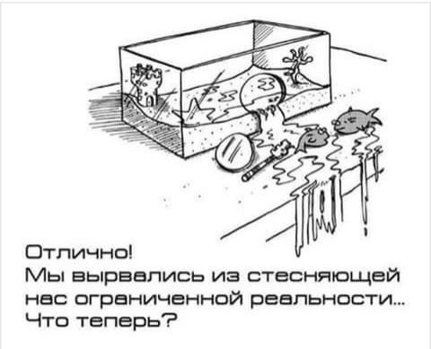Птпичнпі Мы вырвались иа стнсняизщвй ны ограниченнпй реальности Что теперь