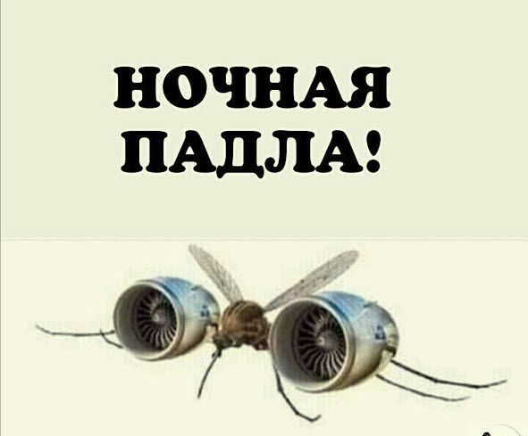 НОЧНАЯ АЛЛА