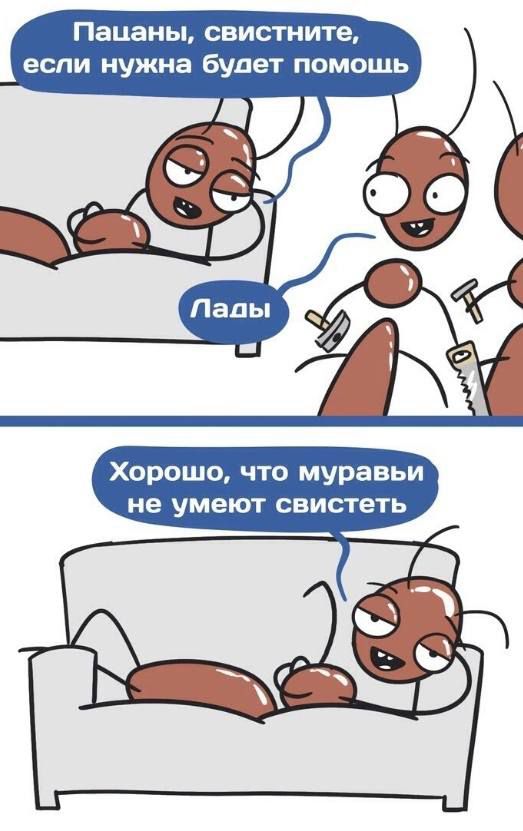 Пацаны свистните если нужна Будет помошь Хорошо что муравьи не умеют СВИСТеТЬ