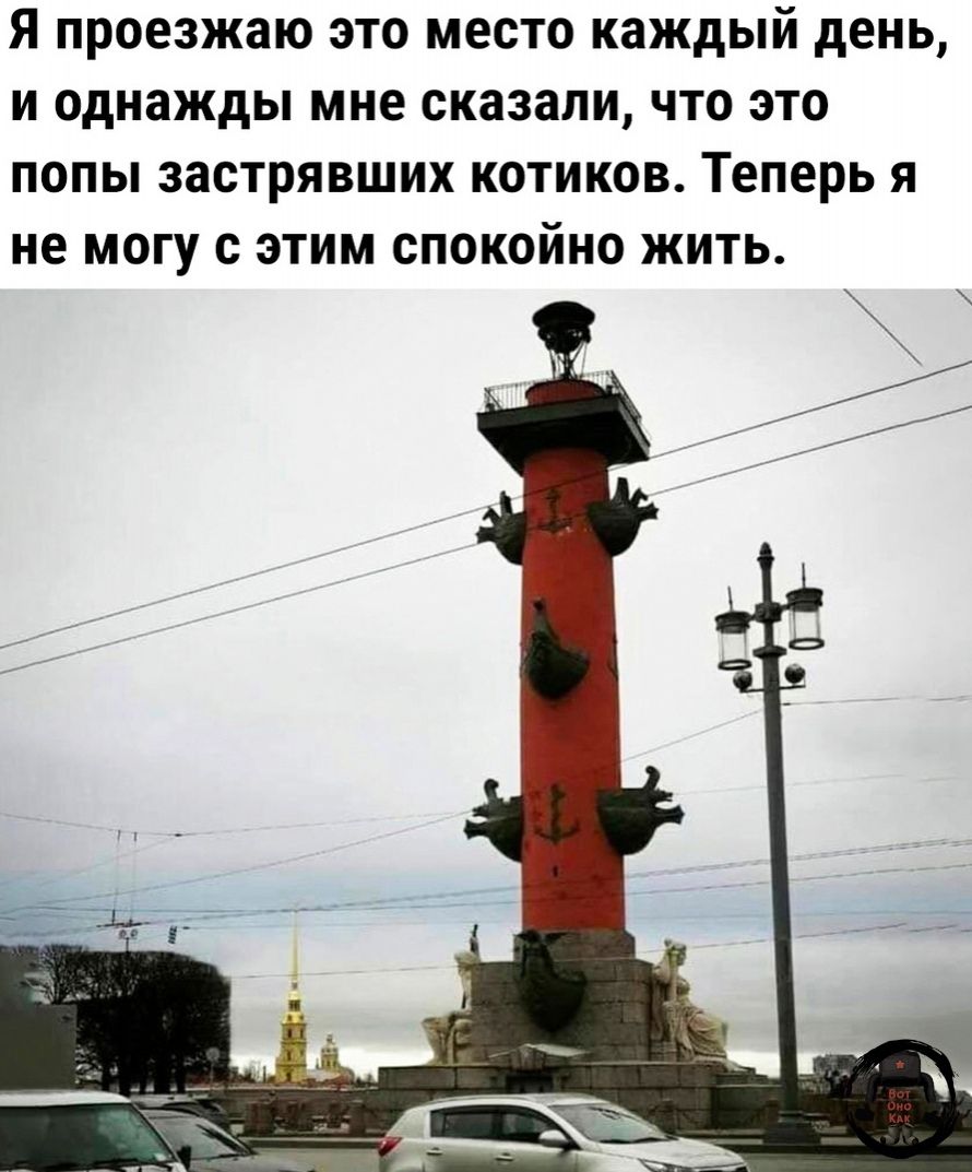 Я проезжаю это место каждый день и однажды мне сказали что это попы застрявших котиков Теперь я не могу с этим спокойно жить