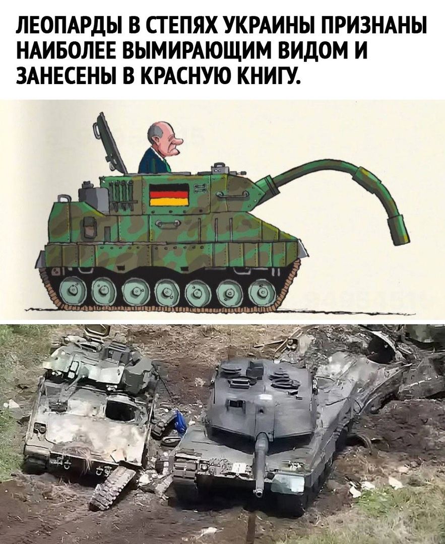 ЛЕОПАРДЫ В СТЕПЯХ УКРАИНЫ ПРИЗНАНЫ НАИБОЛЕЕ ВЫМИРАЮЩИМ ВИДОМ И ЗАНЕСЕНЫ в КРАСНУЮ КНИГУ