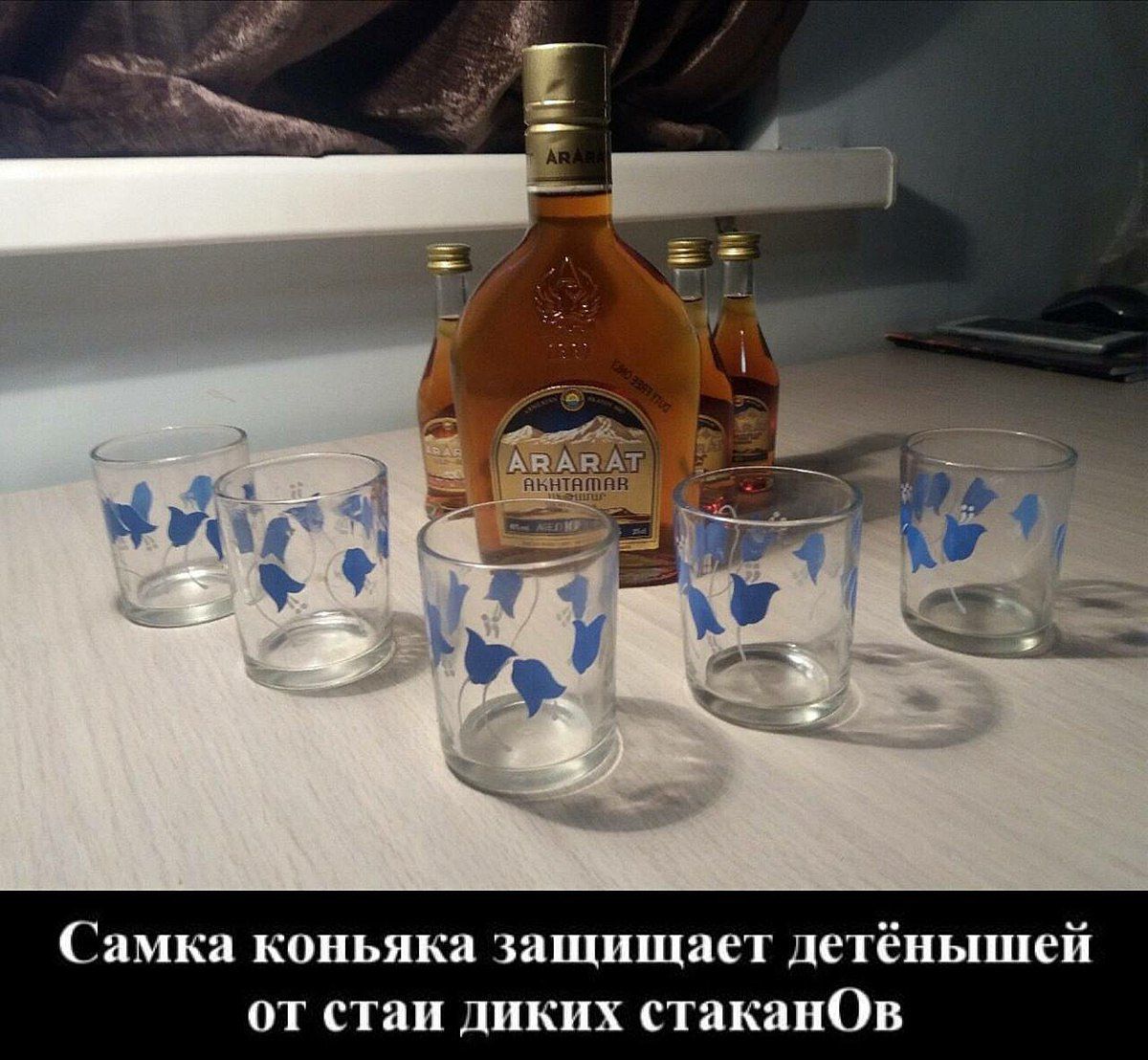 Самка коньяка защищает детёнышей от стаи ди стаканОв