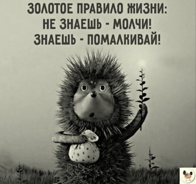 ЗОАОТПЕ ПРАВИАО ЖИЗНИ НЕ ЗНАЕШЬ МПАЧИ__ ЗНАЕШЬ ПОМААНИВАИ