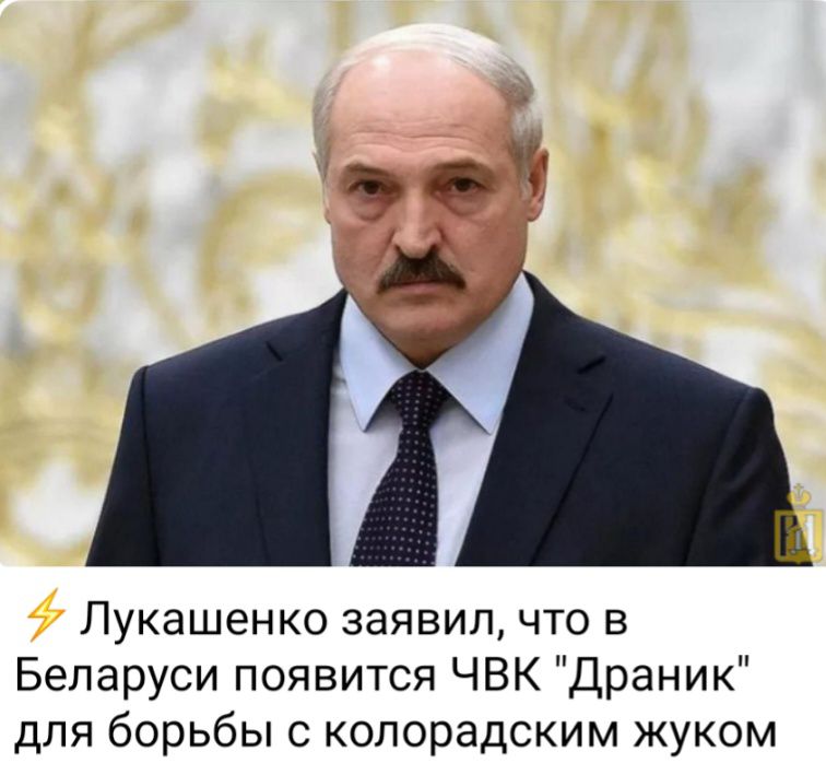 ЛУКЗШЭНКО ЗЗЯВИП ЧТО В Беларуси появится ЧВК Драник для борьбы с колорадским жуком