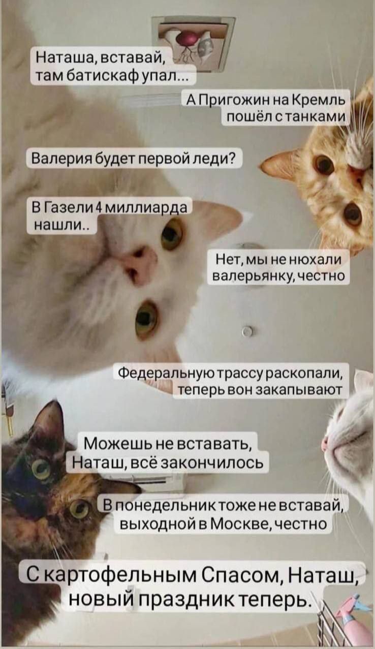 Наташа вставай ЁЁ там батискаф упа АПригожин на Кремль пошёл станками Р ВапЁрия будет первой леди ВГазелиАмиплиар а нашли _ Нетмы не юхали ваперьянкуместно _ Федеральную трассураскопапи теперь вон закапывают Можешь не вставать Наташ всё закончилось __Аь В понедельниктоже не вставай выходной в Москве честно Скартофепьным Спасом Наташ новый праздниктеперь_