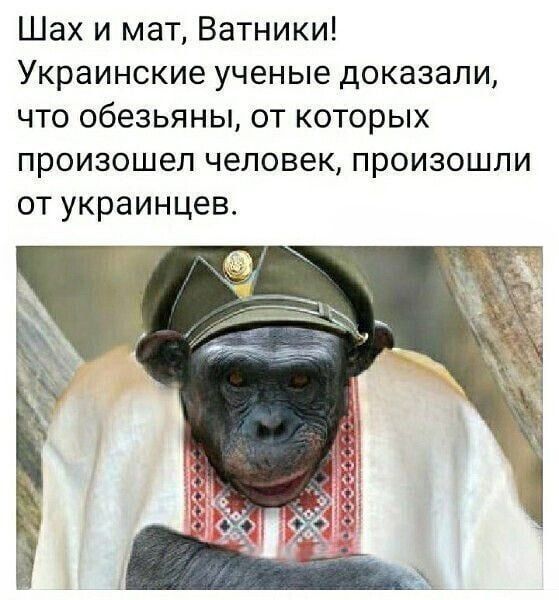 Шах и мат Ватники Украинские ученые доказали что обезьяны от которых произошел человек произошли от украинцев
