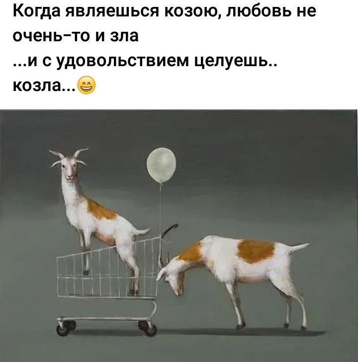 Когда являешься козою любовь не ОЧЕНЬ ТО И зла И С УДОВОЛЬСТВИеМ целуешь козлае