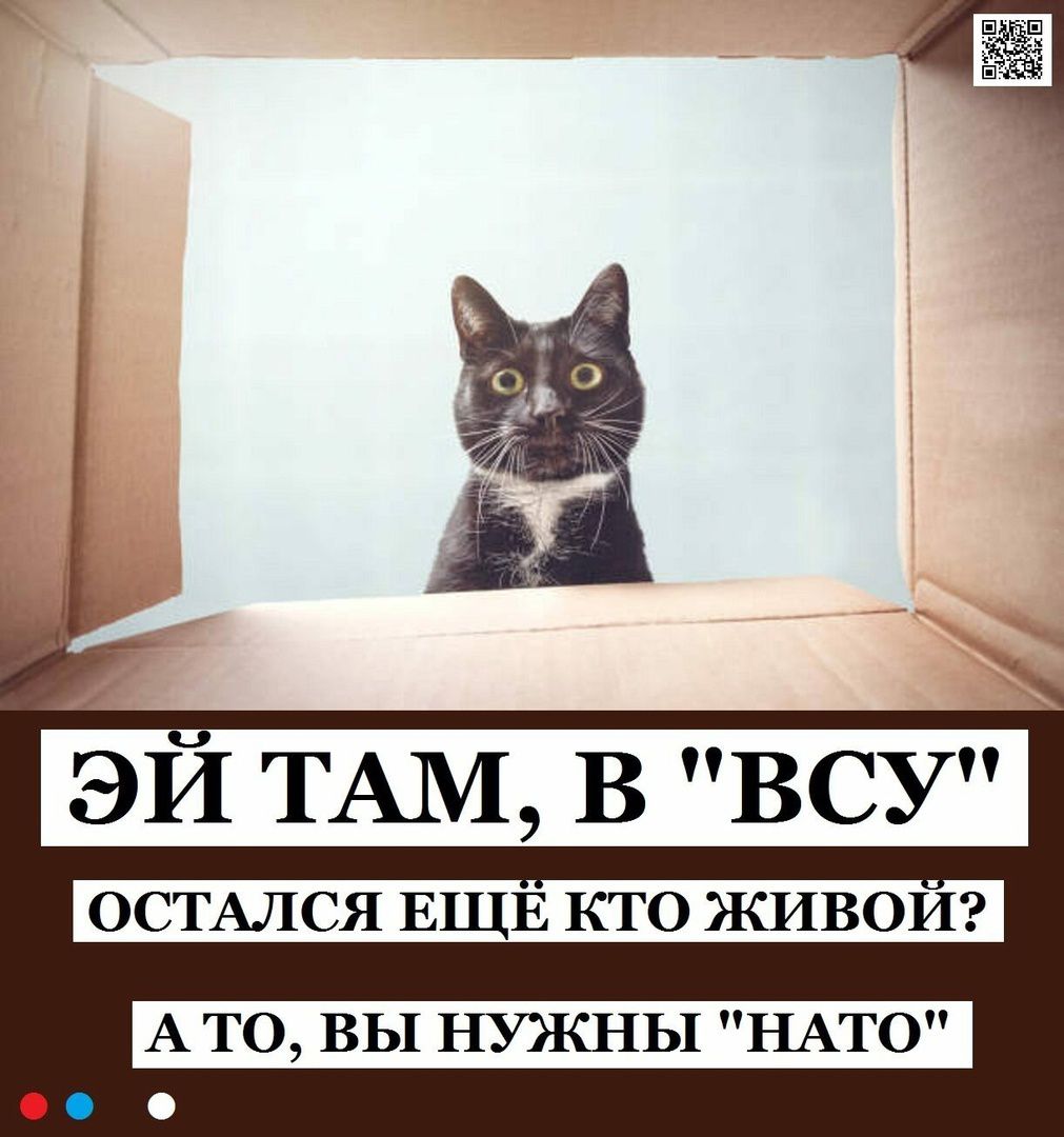 ЭИ ТАМ В ВСУ ОСТАЛСЯ ЕЩЕ кго живот АТО ВЫ НУЖНЫ НАТО